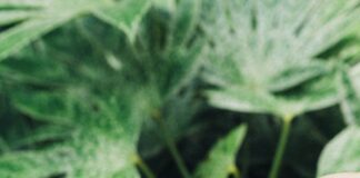 Zegarek dla chłopca na komunię