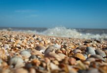 Co jeśli dłużnik nie ma majątku? Co jeśli dłużnik nie ma majątku?