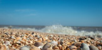 Co jeśli dłużnik nie ma majątku?