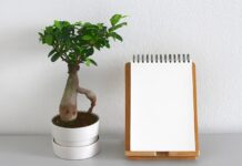 Co to znaczy zero waste?