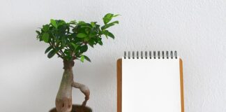 Co to znaczy zero waste?