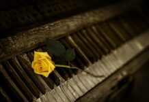 Jaki organ wydaje decyzje administracyjne?