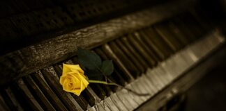 Jaki organ wydaje decyzje administracyjne?