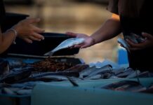 Co sprzedawać w Internecie w 2023 roku?