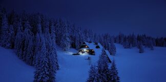 Czy cel i funkcja to to samo?