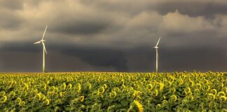 Jaka jest prawidłową kolejność etapów procesu dystrybucji?