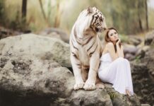 Kto jest odpowiedzialny za ochronę infrastruktury krytycznej?