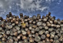 Jak zatwierdzić logowanie na Facebooku?