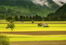 Czy Szwajcaria jest zadłużona?