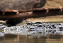 Jakie są podstawowe zasady postępowania z odpadami?