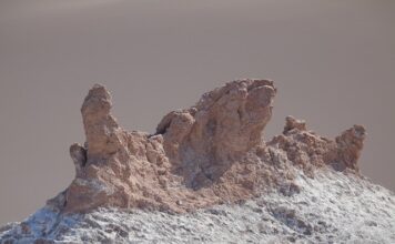 Co to jest trwały zarząd?