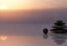 Jak ocenić kondycję spółki?