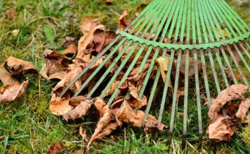 Ile mzuri bierze prowizji?