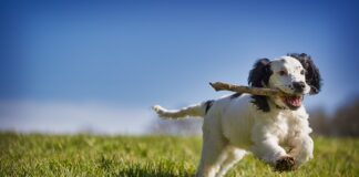 Jak odzyskać konto Google bez weryfikacji dwuetapowej?