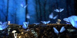 Czy wspólnota musi wystawiać faktury?