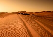 Czy teren wspólnoty mieszkaniowej jest terenem prywatnym?