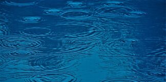 Jakie czynniki mają wpływ na organizację?