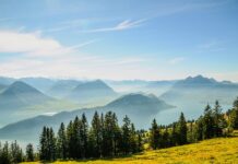 Czy Polski komornik może zająć konto w Norwegii? Czy Polski komornik może zająć konto w Norwegii?