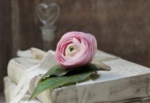 Co to są zobowiązania bieżące?