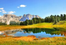 Co oznacza zakres SZŚ?