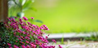 Ile na rękę w lipcu 2023?