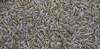 Jak się produkuje puzzle?