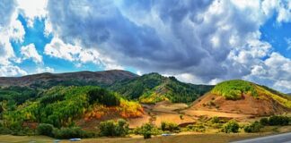 Gdzie kupić nakładki na sedes dla dziecka?