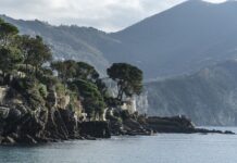 Ile kosztuje miś z Fundacji TVN? Ile kosztuje miś z Fundacji TVN?