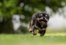 Jak długo dziecko bawi się na macie? Jak długo dziecko bawi się na macie?