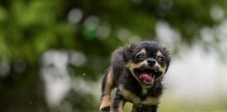 Jak długo dziecko bawi się na macie?