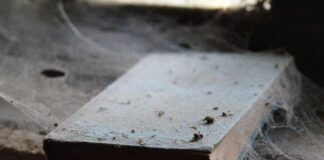 Na czym najlepiej układać puzzle?