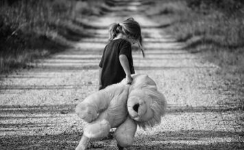 Ile kosztuje największy miś na świecie?