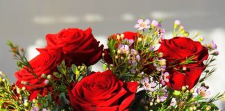 Jaki jest najdroższy zestaw Lego Friends?