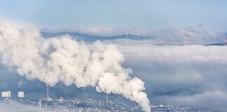 Do czego służy transmisyjny mikroskop elektronowy?