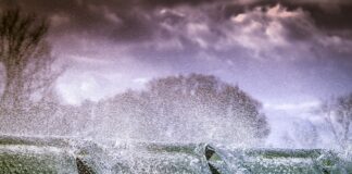 Czym po pryskać na meszki?