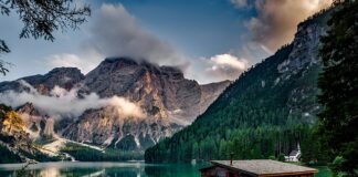 Jak zrobić samemu domek z kartonu?