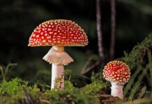 Jak wietrzyć mieszkanie żeby nie było grzyba? Jak wietrzyć mieszkanie żeby nie było grzyba?