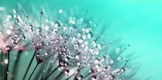 Jak pozbyć się kropelki?