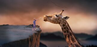 Jak łączyć karmienie naturalne ze sztucznym?