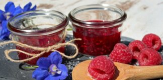 Jak wykonać preparat mikroskopowy?