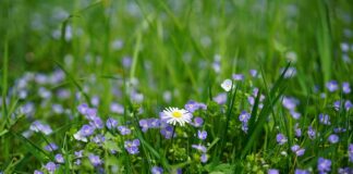 Jaka nagroda dla dziecka?