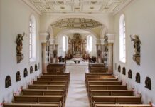 Jaka jest różnica między mikroskopem elektronowym skaningowym i transmisyjnym?