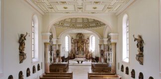 Jaka jest różnica między mikroskopem elektronowym skaningowym i transmisyjnym?