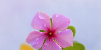 Kiedy zacząć kłaść dziecko na podłodze?