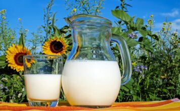 Czym się różni mleko Bebiko od Nan? Czym się różni mleko Bebiko od Nan?