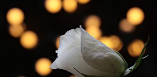 Jak napisać uzasadnienie do nagrody?