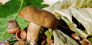 Jak myć wargi sromowe u noworodka?