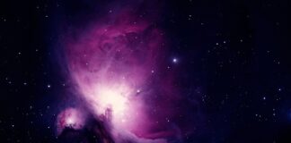 Ile kosztuje nauka w Montessori?