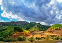 Jaka nakładka na sedes po operacji biodra?