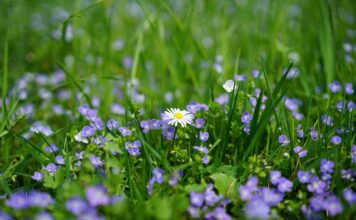 Jakie nagrody dla uczniów?